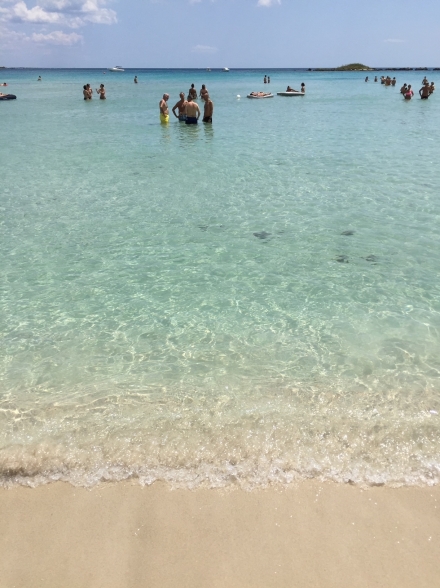 VILLA IL GIGLIO - VIA MARSALA 18 - TORRE SQUILLACE - NARDO' - LE - salento